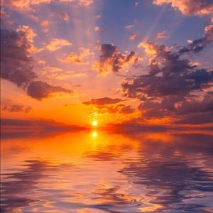 Meet your Posher, Tom